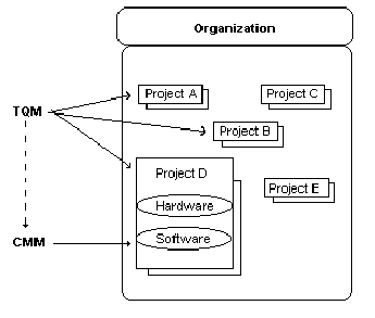 The relationship between TQM and SPI